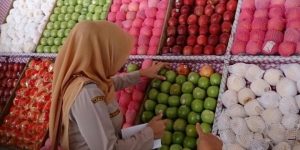 Dinas Pertanian Lakukan Pengawasan Buah-Buahan