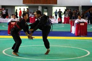 Sultra Daftarkan 13 Cabang Olahraga di Pomnas