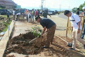 Hijaukan Kota Kolaka, Kodim 1412/Kolaka Tanam 3000 Bibit Pohon Mahoni