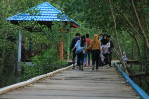 Nahwa Umar  Bantah Adanya Pungli di Tracking Mangroove Lahundape