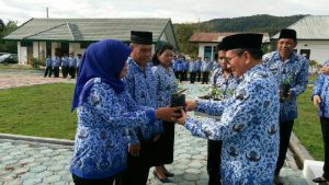 Bupati Koltim Himbau ASN Harus Menanam Cabe