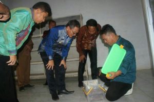 Koltim Produksi  Coklat  Jenis Bubuk dan Batang