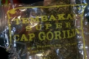 Waspada Terhadap Tembakau Gorila Mulai ‘Masuk’ Sekolah