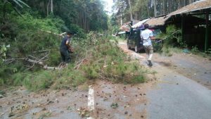 Pohon Tumbang, Timpah 3  Kios di Simbune