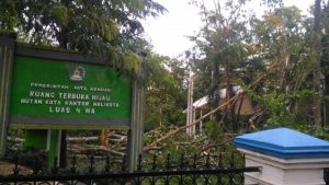 Kendari Diguyur Hujan Deras, Porak-porandakan Tamkot