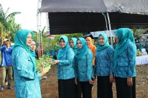 Atasi Krisis Pangan, PKK Wakatobi Tanam 500 Benih Cabe