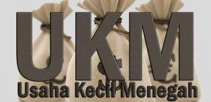 UKM Dominasi Kegiatan Ekonomi Sultra