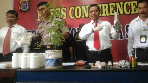 Polda Sultra Ungkap Kepemilikan Satu Kg Ganja Kering Beserta Pohonnya Yang Ditemukan di Perumahan Warga