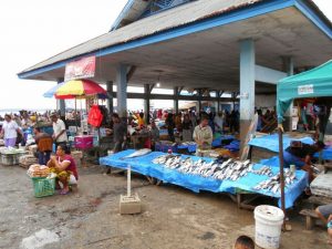 DKP Kota Kendari Kurangi Distribusi Ikan ke Luar Daerah