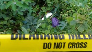 Lagi Asik Joging, Ibu Ini Temukan Mayat Bayi di Pinggir Jalan BTN Batu Marupa Kendari