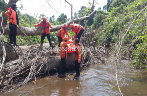 Tiga Hari Menghilang, Korban Jurang KM 17 Kolaka Ditemukan Meninggal Dunia