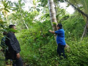 Kejati Sultra Layangkan Panggilan ke Mantan Kadis Pertanian Butur