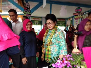 Menteri Kesehatan RI Berkunjung ke Posyandu Teratai Kota Kendari