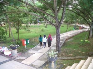 Pemkot Kendari Programkan Pembangunan RTH di Tiap Kecamatan