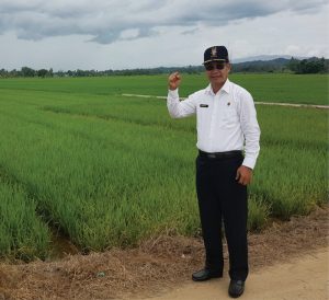 Distanak Sultra Optimis Produksi Padi Naik 5 Persen