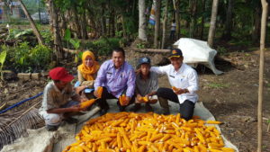 Disiapkan Benih Jagung Seluas 59.400 Hektar untuk Petani Sultra