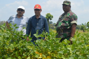 Tingkatkan Produksi Pertanian, Petani Kedelai Dibantu 3.000 Hektar