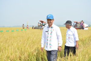 Petani Sultra Dapat Bantuan Benih Padi Seluas 20.445 Hektar