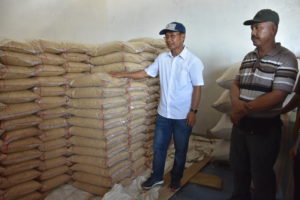 Lima Lumbung Beras di Sultra Surplus