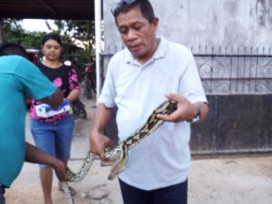 Hugua, Dukung Gagasan Pembangunan Kebun Binatang di Sultra