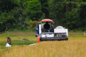 Distanak Bantu Program Padi Organik Butur Capai 800 Hektar