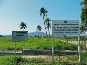 Padang Penggembalaan Milik BPPT Distanak Sultra 544 Hektar