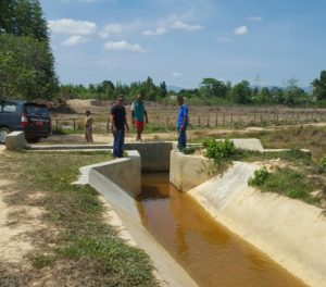 Ini Upaya Distanak Sultra Antisipasi Kekeringan Lahan Pertanian