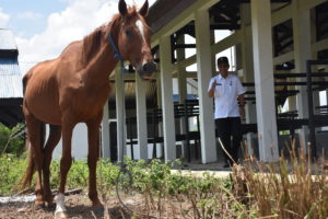 PAD BPPT 2016 Melampaui Target