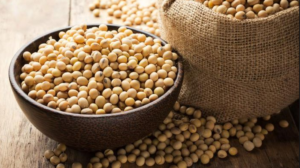 Agustus 2018 Produksi Kedelei Capai 5.780 Ton