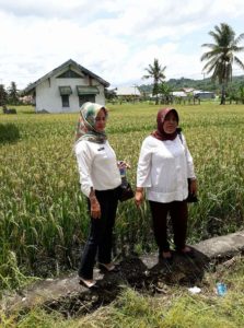 PAD BPSBTP Distanak Sultra 2017 Lampaui Target