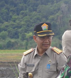 Program Cetak Sawah Kembali Direncanakan Tahun 2019
