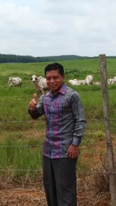Anggarkan Pakan Ternak, Kolaka Siap Terima Bantuan Bibit Ayam