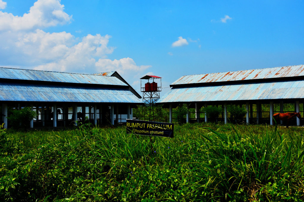 November 2018, PAD BPPT Distanak Sultra Capai Rp27 Juta