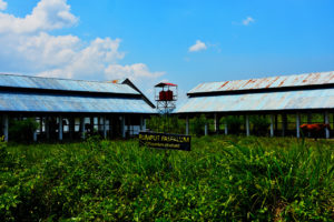 November 2018, PAD BPPT Distanak Sultra Capai Rp27 Juta