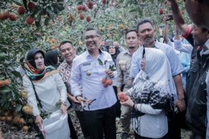 Wali Kota Kendari Hadiri Panen Raya Rambutan