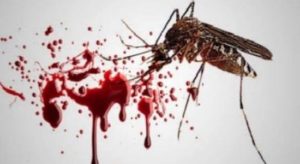 Kasus DBD di Kota Kendari Capai 234 Kasus