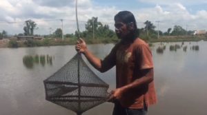 Hasil Panen Tambak Ikan di Lingkar Tambang PT. VDNI Menurun