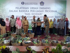 Gandeng Pemkot Kendari, BI Sultra Gelar Pelatihan Urban Farming