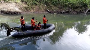 Seorang Warga Lasalimu Buton Diterkam Buaya, Tim SAR Lakukan Pencarian