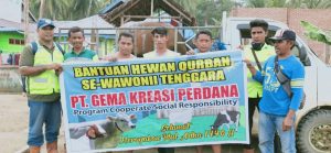 Qurban Idul Adha, PT. GKP Serahkan 15 Ekor Sapi