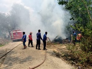 Karhutla di Kendari, Warga Dihimbau Siap Siaga