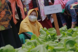 Ketua TP PKK Kendari Kunjungi Kebun Gizi Lansia