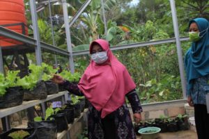 Tingkatkan Gizi Keluarga, Ketua TP-PKK Kota Kendari Serahkan Bantuan Sarana Produksi dan Bibit Tanaman