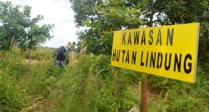 Forkita Sultra: PT. Roshini Diduga Merambah Hutan Tanpa IPPKH