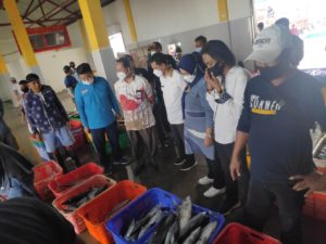 Bangun Sinergitas di Bidang Perikanan, Pemkab Wakatobi Kunjungi PPS Kendari