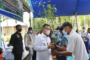 Wali Kota Kendari Berikan 2.857 Bibit Cengkeh di Kelurahan Watulondo