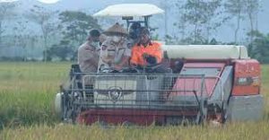 Pemkot Kendari Antusias Kembangkan Padi Organik