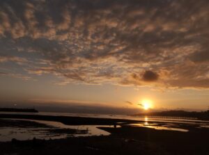 Masa Depan Nikel : Bahan Baku Utama Baterai Kendaraan Listrik