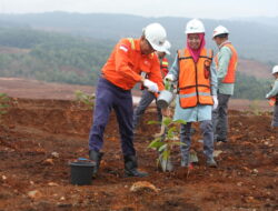 Peduli Lingkungan, PT Vale Lakukan Penanaman 60 Bibit Pohon