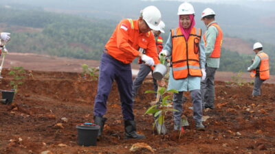 Peduli Lingkungan, PT Vale Lakukan Penanaman 60 Bibit Pohon